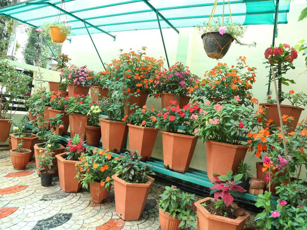 מונאר Mangalappillil Homestay מראה חיצוני תמונה